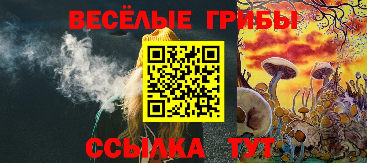 Псилоцибиновые грибы Magic Shrooms Карпинск
