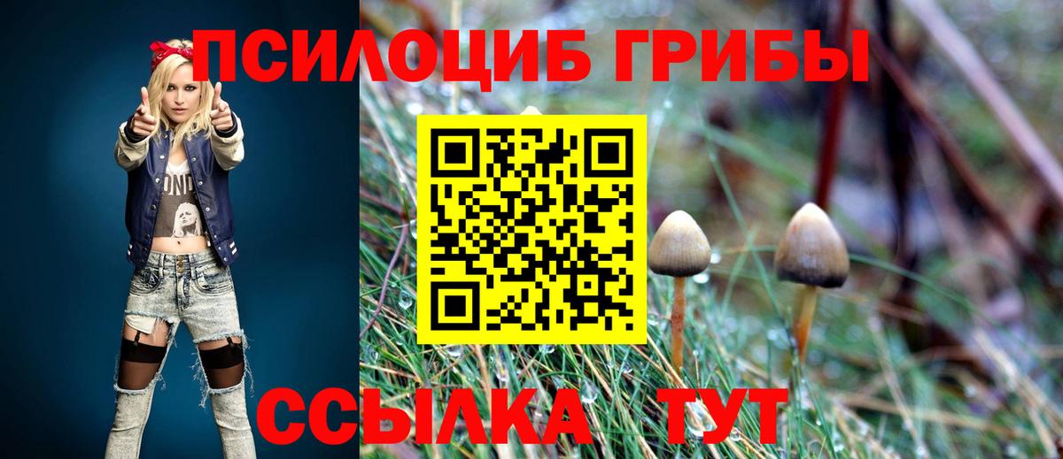 Псилоцибиновые грибы Cubensis  Вход с VPN  Карпинск  Псилоцибиновые грибы ЛСД 