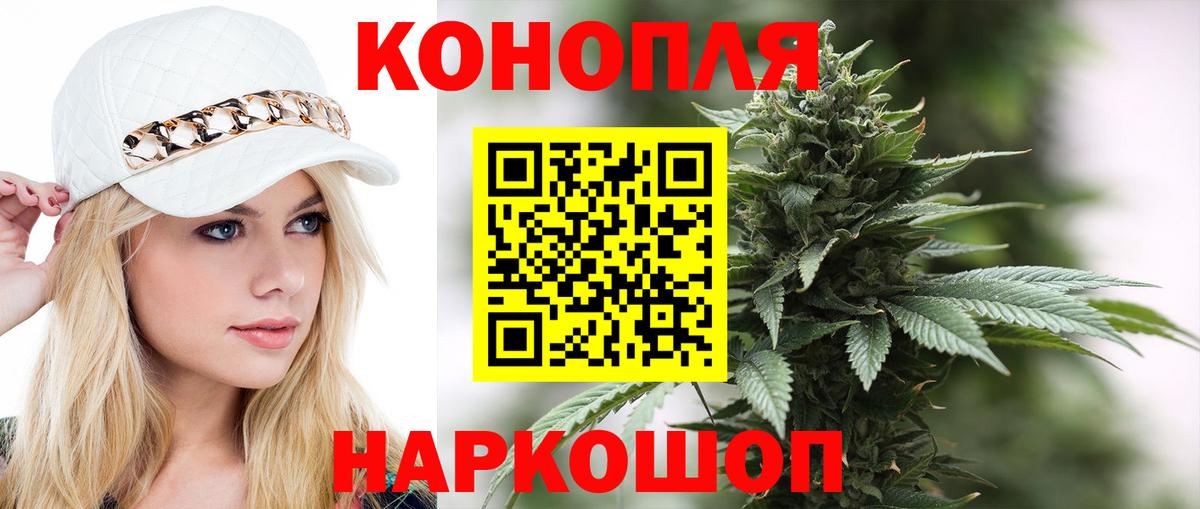 Бошки Шишки план Карпинск